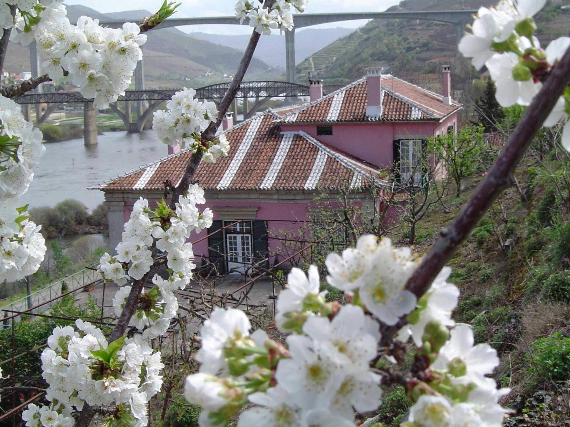Casa Dos Varais, Manor House Ламегу Экстерьер фото