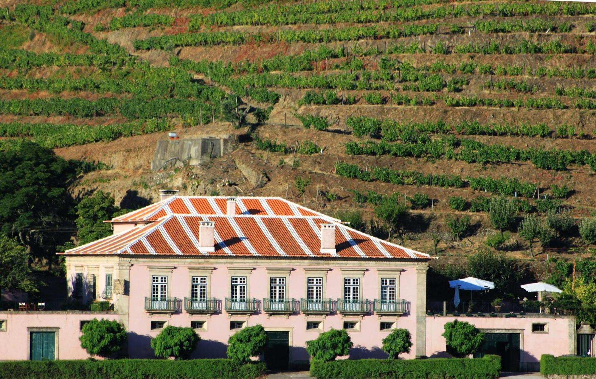Casa Dos Varais, Manor House Ламегу Экстерьер фото