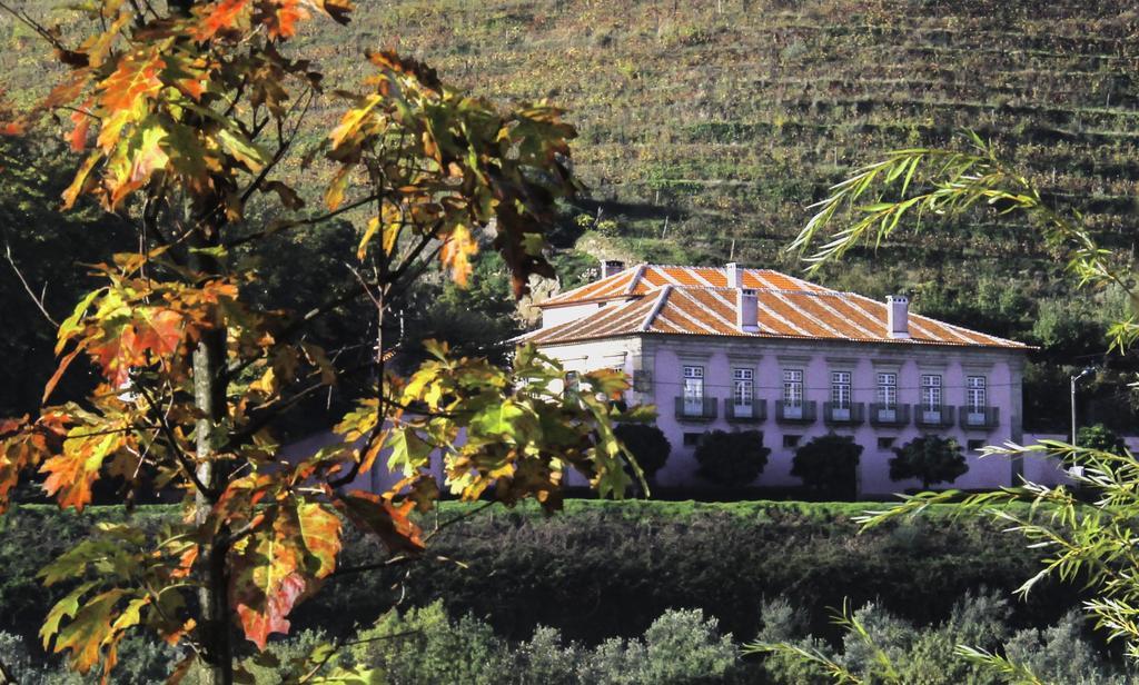 Casa Dos Varais, Manor House Ламегу Экстерьер фото